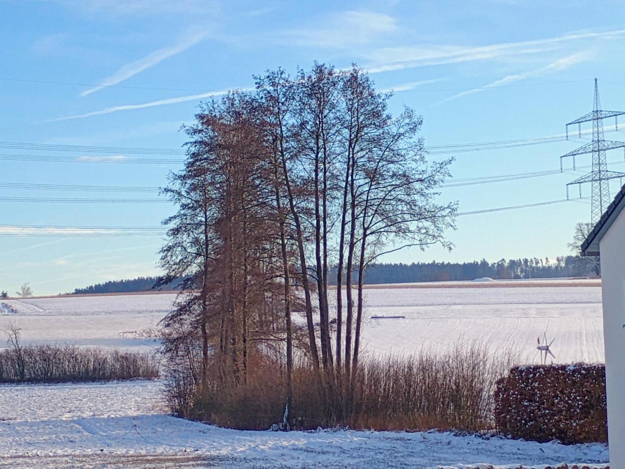 Monteurzimmer Beate Ackermann Hochstadt am Main Kültér fotó